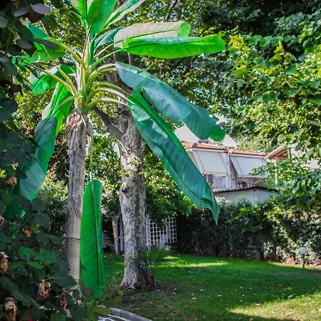 Platamon village house